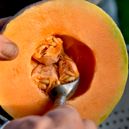 Wholesale Seed Packets