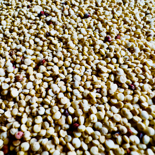Colorado Quinoa