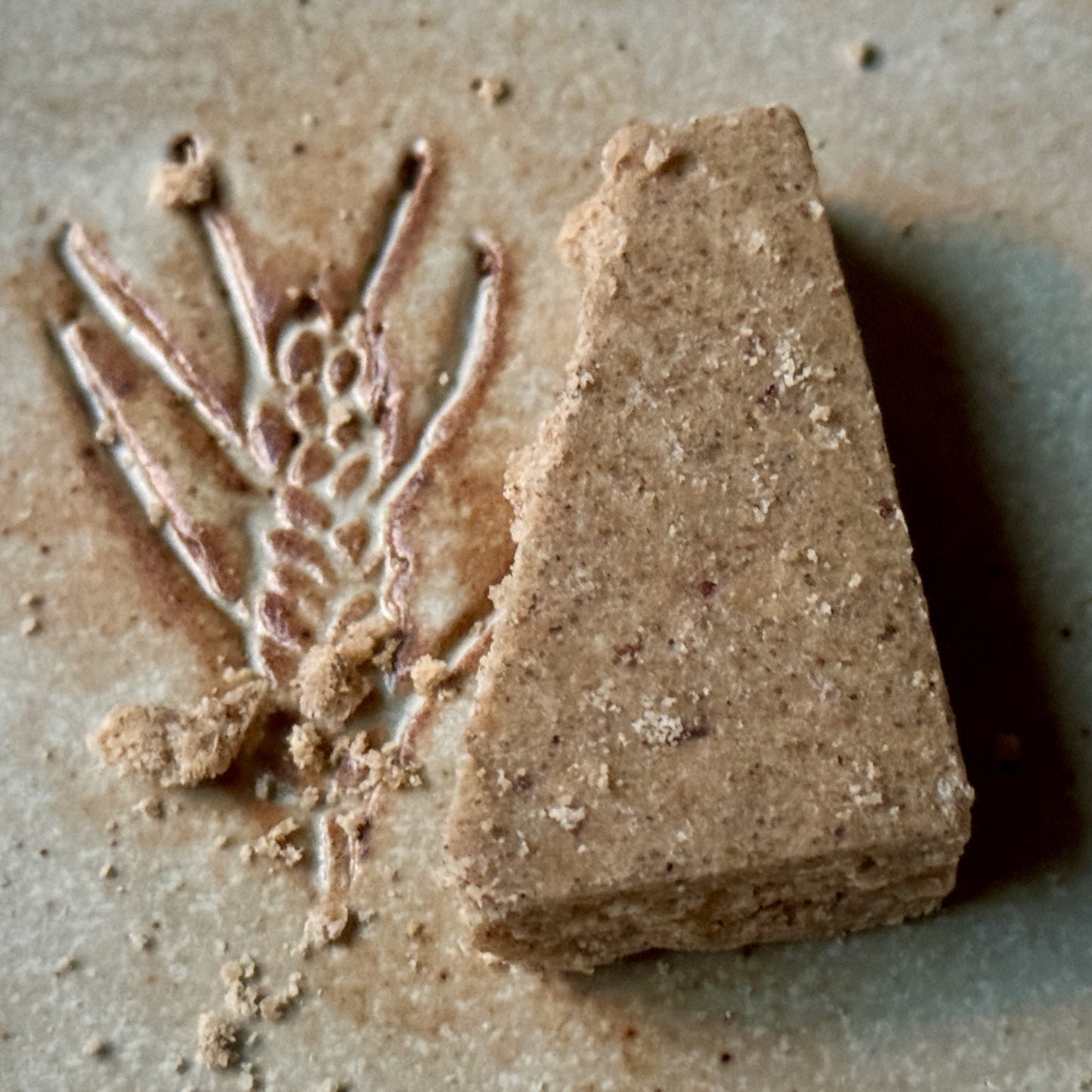 Southwest Blue Corn Cookies