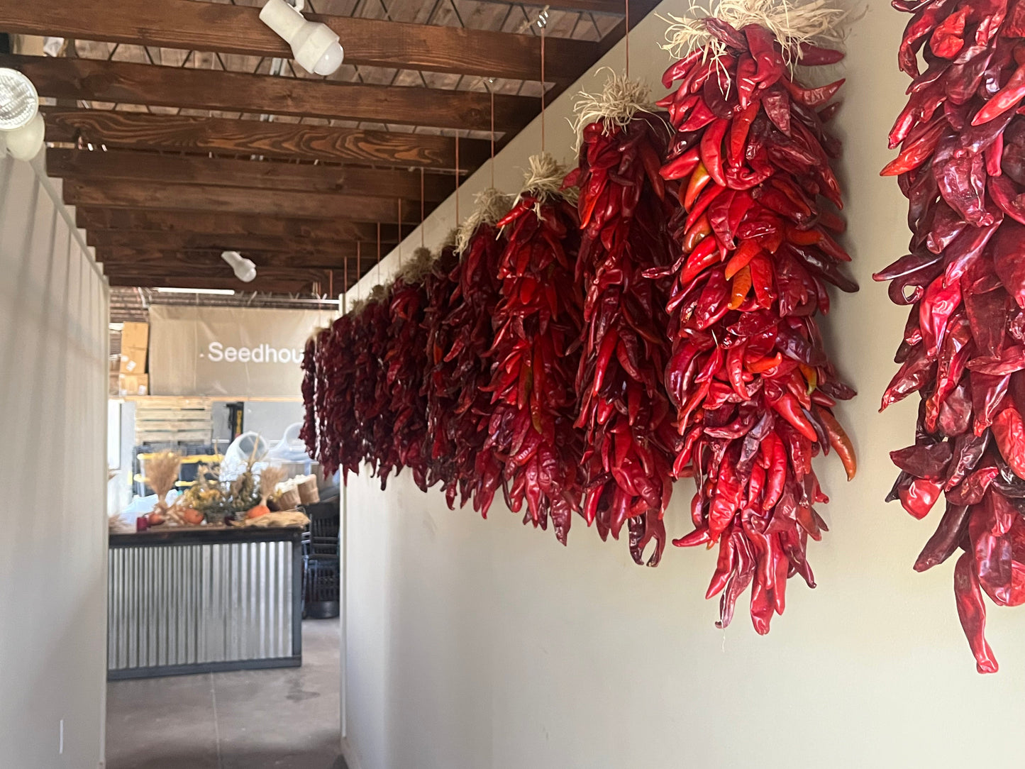 Ristras