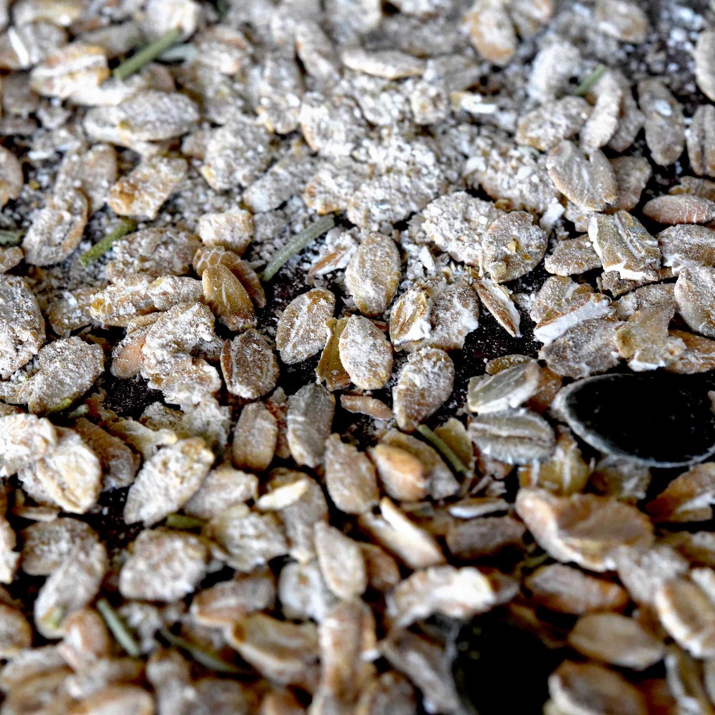 Rosemary Rye Porridge -  Pueblo Seed & Food Co | Cortez, Colorado