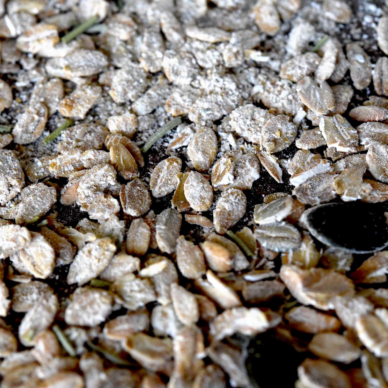 Rosemary Rye Porridge -  Pueblo Seed & Food Co | Cortez, Colorado