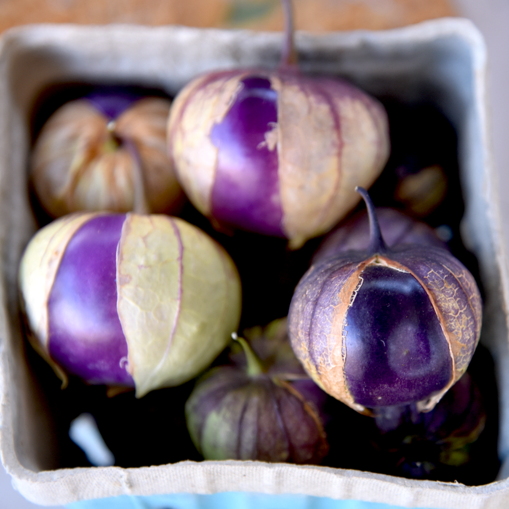Wholesale Seed Packets